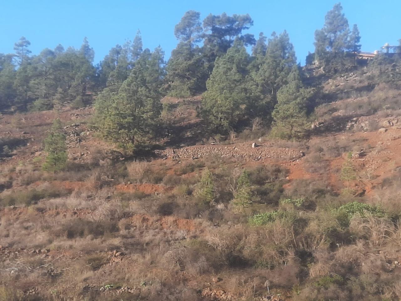 Terreno rural